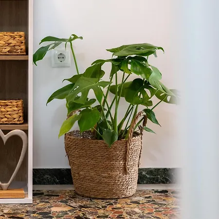 Boho With Balcony Swing Near Center Διαμέρισμα *